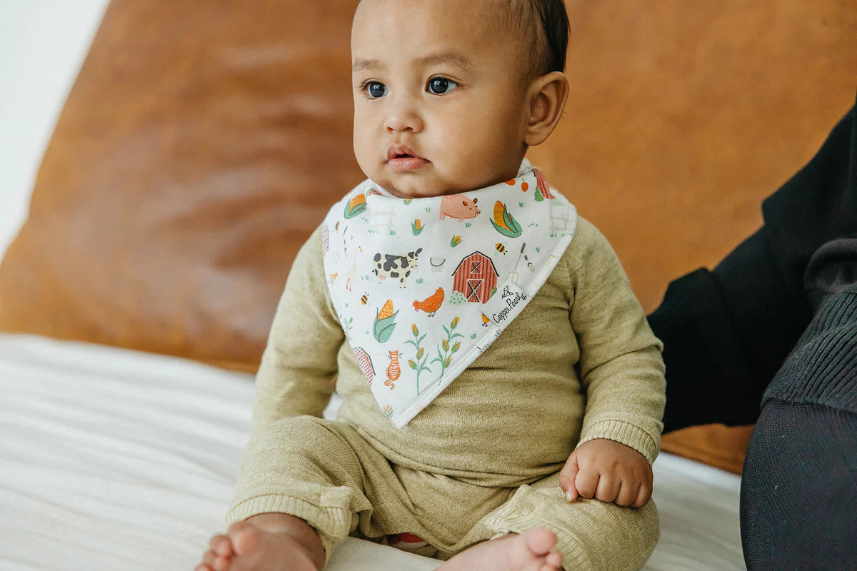 Farmstead Bandana Bib