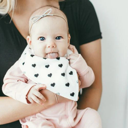 Blush Bandana Bib Set