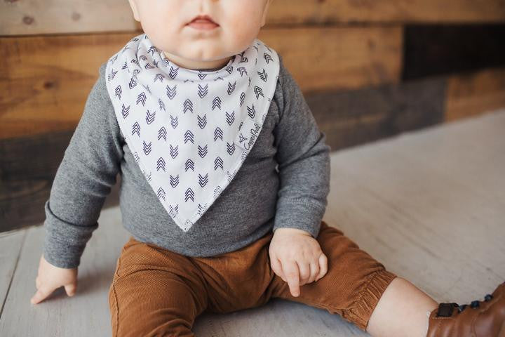 Alta Baby Bandana Bib Set