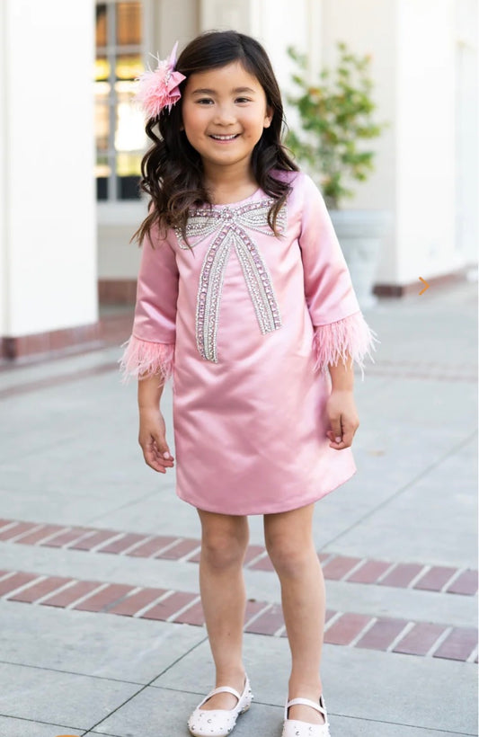 The Little Blush Macaron Dress
