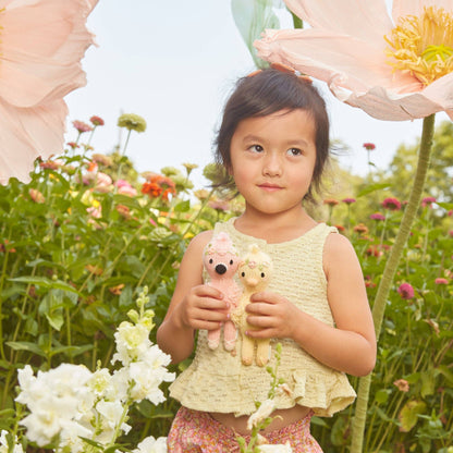Tiny Penelope the flamingo, gives 10 meals